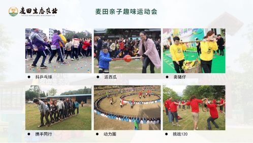 2021廣州從化麥田生態園研學產品交流會圓滿舉辦，推動文化藝術交流