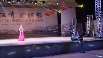 文化惠民暖人心 廣州市文廣新局文藝演出走進大埔西湖公園